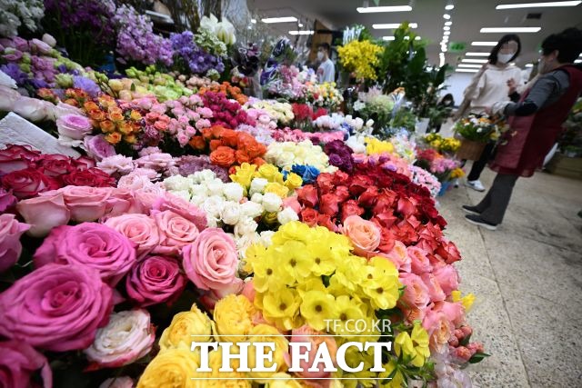 서울 양재동 aT 화훼공판장에서 장미 경매가격은 1단에 일평균 1만2733원을 기록했다. /더팩트 DB