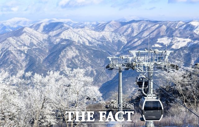 13일 정선군은 2018 동계올림픽 유산인 해발 1,381m 가리왕산 케이블카의 브랜드 개발을 추진한다고 밝혔다./정선군