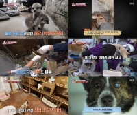  '동물농장' 야생동물카페 사장, 동물 학대 혐의 구속