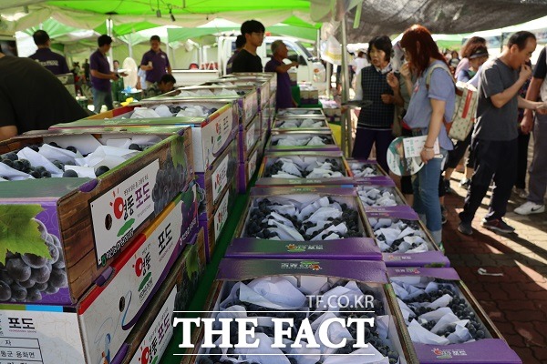 충북 영동군은 침체된 지역 농촌을 살리기 위해 1건당 2000원의 농산물 택배비를 지원한다. /영동군.