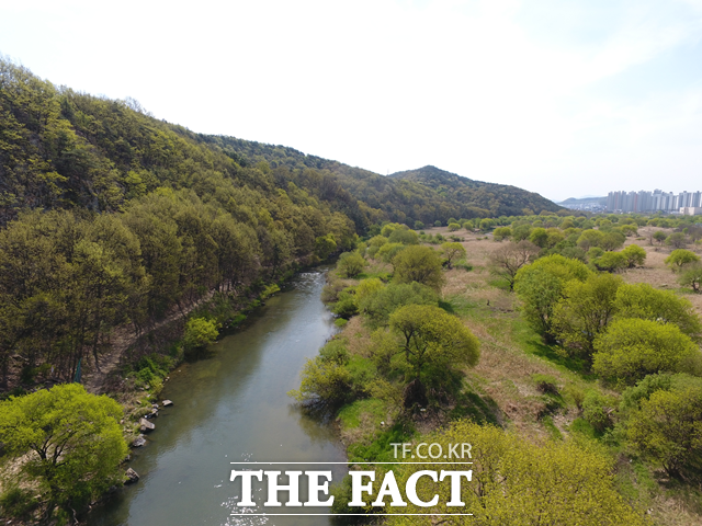 대전 서구 월평공원 전경. / 서구