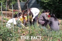  대전 대덕구 나눔텃밭 155구획 분양