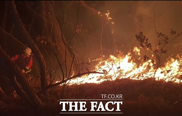 안동 임동면 산불/경북소방본부