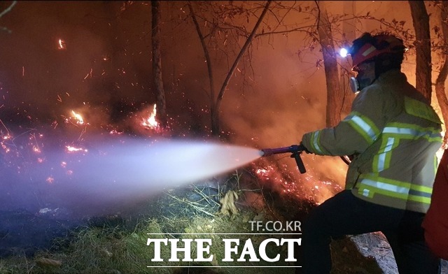 19일 안동시 임동면의 한 야산에서 불이 나 진화 중이다./경북소방본부