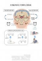  KAIST, 뇌 속 자명종 신경회로 발견