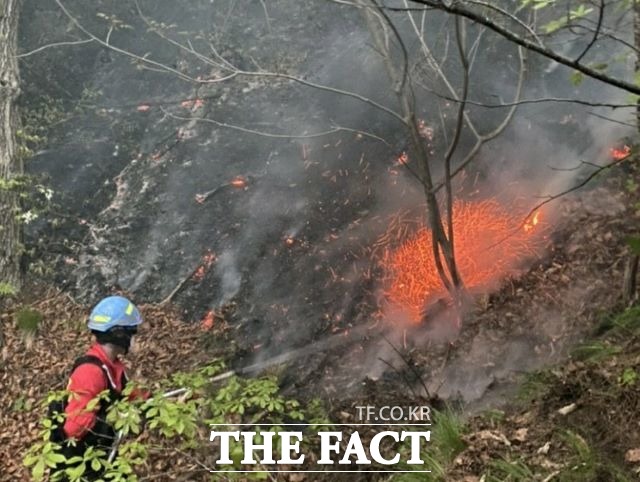 21일 산림당국은 오후 1시 51분경 강원도 고성군 거진읍 거진리 208-2 일원에서 산불이 발생, 19분 만에 주불진화 완료했다고 밝혔다./춘천=서백 기자