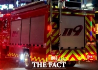  영암 염소 농장서 화재...사육 시설 내 염소 '전부 폐사'