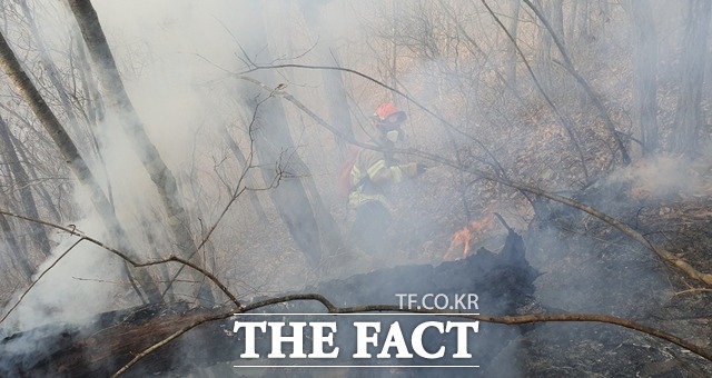 23일 오후 3시 28분쯤 경북 봉화군 명호면 북곡리 산 81일원에서 불이 나 진화 중이다./경북소방본부