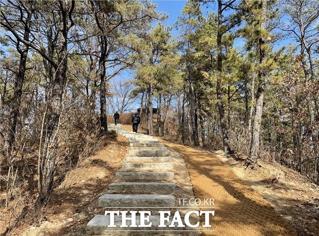 대전 유성구 청벽산근린공원에서 시민들이 산책로를 이용해 산을 오르고 있다. / 유성구
