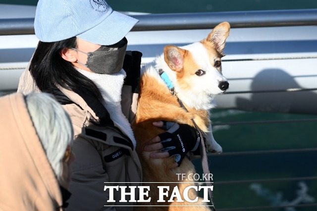 기상청에 따르면 24일 기온은 평년과 비슷하거나 조금 높겠다. 다만 늦은 오후부터는 북서쪽에서 찬 공기가 유입돼 다음 날인 25일은 평년보다 추울 것으로 예상된다. /남윤호 기자