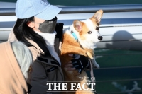  [오늘의 날씨] 포근하지만 미세먼지 '나쁨'…영동 15cm 폭설