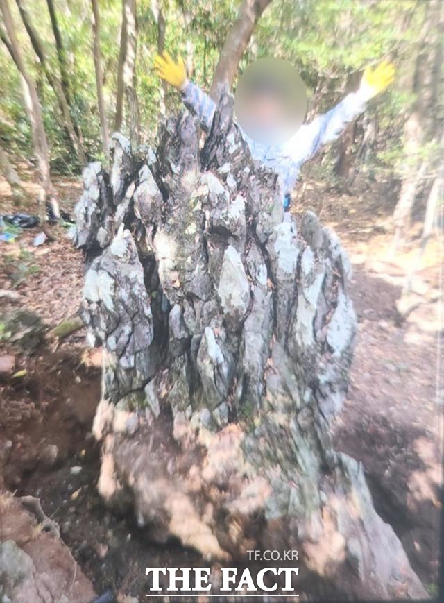 제주에서 중장비를 동원해 산림을 훼손하고 대형 현무암 자연석을 절도한 일당이 경찰에 붙잡혔다./서귀포경찰서