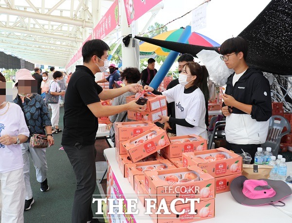 제14회 향수옥천 포도·복숭아 축제 모습. /옥천군