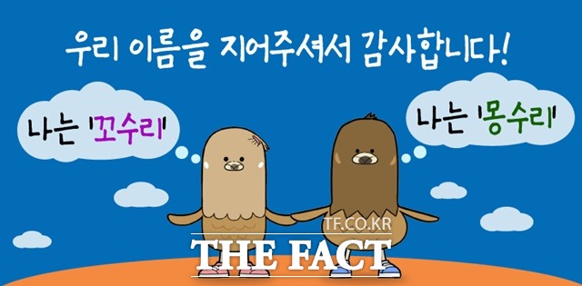 고성 독수리 캐릭터 꼬수리와 몽수리/고성군