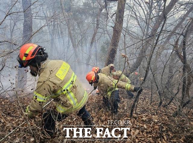 김천의 한 야산에서 불이 나 소방대원들이 진화 중이다/경북소방본부