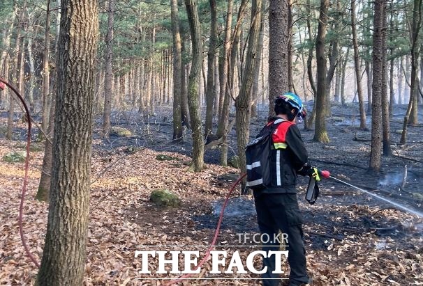 7일 오후 대구 수성구 지산동의 한 야산에서 난 불을 산불진화 대원이 진화 중이다./산림청