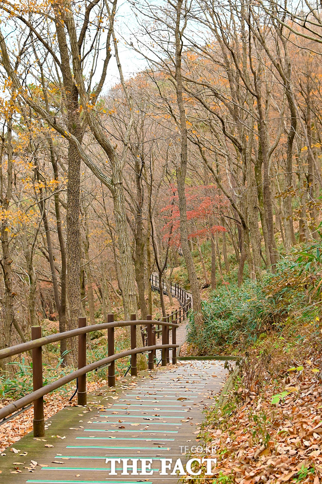 전북 진안군은 오는 11~12일 운일암반일암 삼거광장서 펼쳐지는 ‘제19회 운장산 고로쇠 축제’에 진안·무주 국가지질공원 홍보부스를 운영한다고 7일 밝혔다. / 진안군