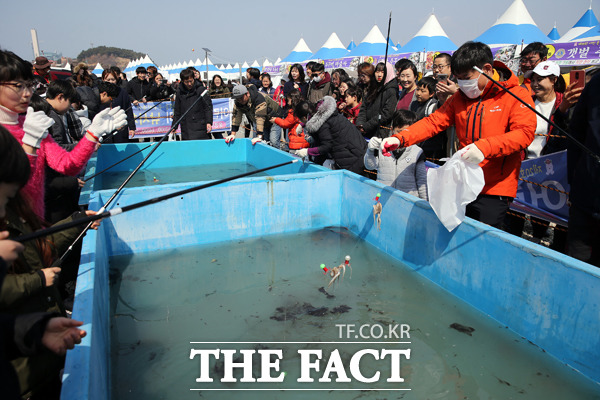 지난 서천 동백꽃 주꾸미 축제에서 관광객들이 주꾸미 낚시체험을 하고 있다. /서천군