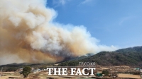  합천 큰 산불, 올해 첫 '대응 3단계'…6개 마을 주민 214명 대피
