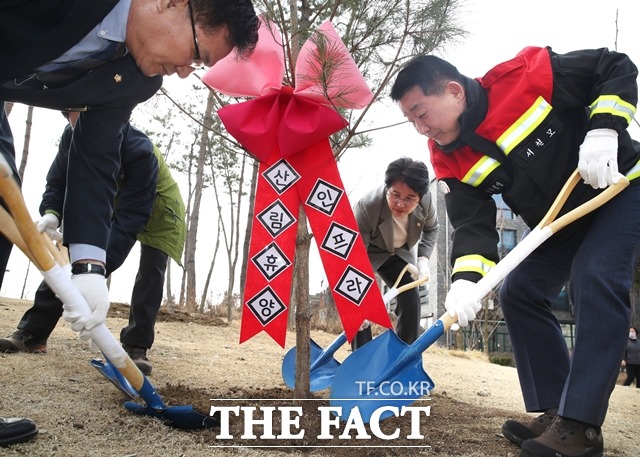 9일 대전 서구 도안동 아름드리 소공원에서 서철모 구청장(맨 오른쪽)이 왕벚나무를 심고 있다. / 서구