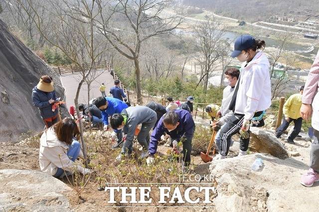 순창군 30만그루 조림사업 본격 추진 모습. / 순창군