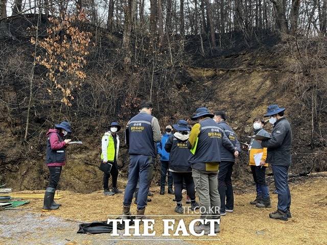 지난해 산불피해지 조사 모습 / 산림청