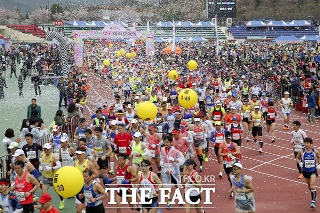 오는 4월 2일 합천 100리 벚꽃길을 달리는 제22회 합천벚꽃마라톤대회가 개최된다./합천군