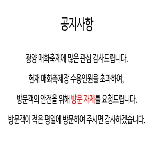 광양시는 축제 이튿날인 토요일 17만명의 상춘객과 5만여 대의 차량이 몰려들어 교통마비 상태에 이르자 방문 자제를 요청하는 공지문을 시 홈페이지에 올렸다/ 광양시 홈페이지 갈무리