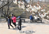  완연한 봄 날씨 만끽하는 시민들 [TF사진관]