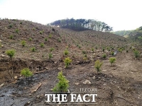  괴산군, 21억원 들여 282㏊ 규모 조림사업 착수