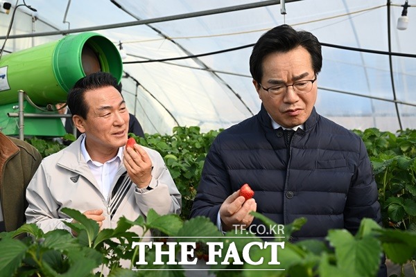 백성현 논산시장이 정황근 농림부 장관과 함께 킹스베리 딸기 재배 농가를 방문해 딸기재배에 대해 설명하고 있다./논산시청