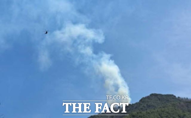 산림당국은 22일 낮 12시 16분경 강원도 양구군 국토정중앙면 적리 산 149 일원에서 산불이 발생, 3시간 54분만에 주불진화를 완료했다고 밝혔다./강원소방본부