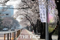  영등포구, 내달 1일부터 '여의서로 벚꽃길' 교통통제