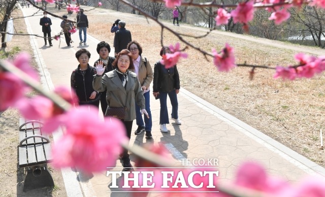 토요일인 1일 전국 대부분 지역은 햇볕이 내리쬐면서 따뜻한 봄 날씨가 예상된다. /박헌우 기자