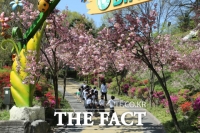  대전 오월드  8일부터 낮과 밤 꽃의 향연 펼친다