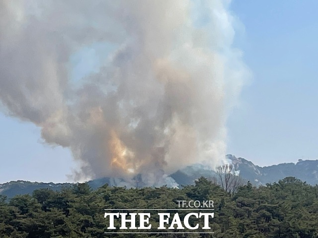 서울 종로구 인왕산에서 2일 오전 산불이 발생해 매캐한 연기가 피어오르고 있다. /독자 제공
