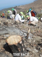  '동해 산불 피해 지역'에서 나무심기한 유한킴벌리 [TF사진관]