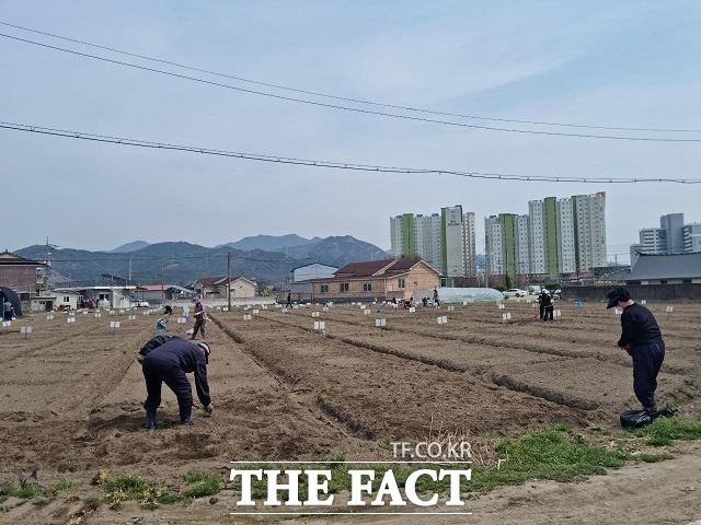 전북 완주군이 마을텃밭 1개소와 시민텃밭 2개소 등 총 3개소를 개장하고 본격적인 운영에 들어간다. /완주군