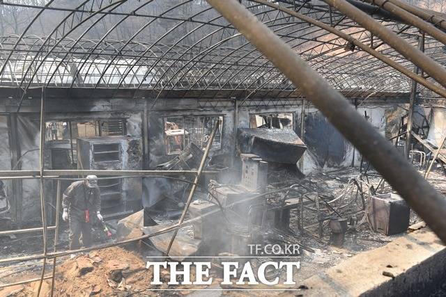 충남 홍성에서 발생한 산불이 휩쓸고 간 마을에 비닐하우스 뼈대만 남아있다. / 내포 = 김아영 기자