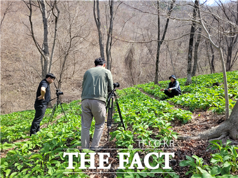 행사에 참여한 소농임가대표가 봄산나물 재배 계기와 앞으로의 목표를 인터뷰하고 있다/포항시산림조합