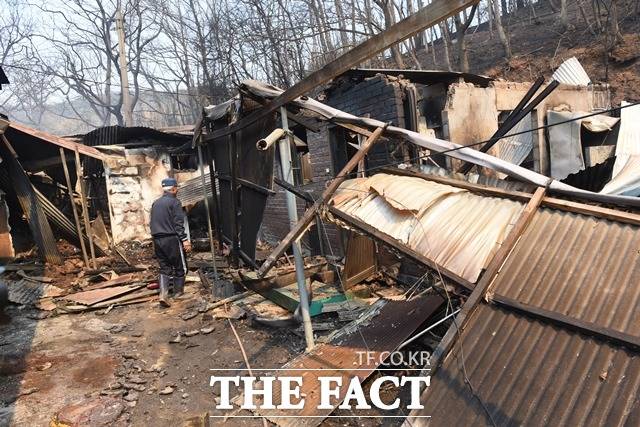 충남 홍성에서 발생한 산불에 집이 무너져내렸다. / 내포 = 김아영 기자