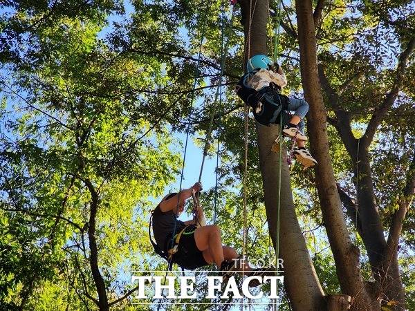 트리클라이밍 체험 모습. /청주시.