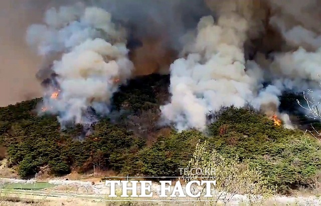 이번 산불로 산림이 불에 타거나 그을리는 등 피해를 입은 산불 영향 구역은 475㏊로 추산됐다. / 제보자