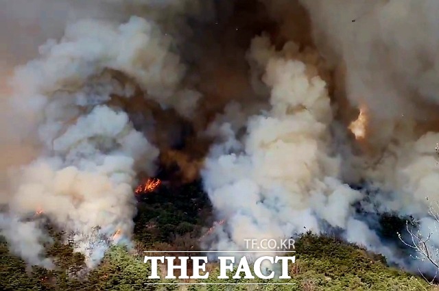 전남 함평에서 발생한 대형 산불이 이틀 만에 진화됐다. / 제보자