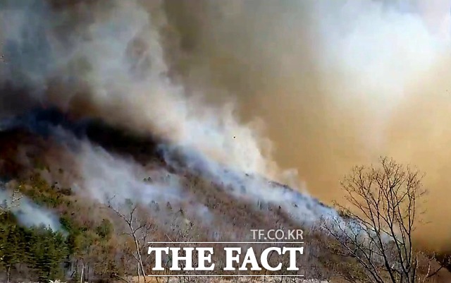 불길이 번지면서 민가를 위협해 일부 주민들에게 대피령이 내려졌다. / 제보자