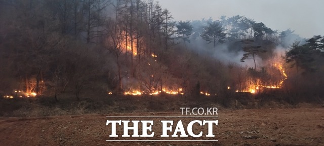 홍성 서부면에서 발생한 산불이 사흘째 이어지고 있다. / 독자