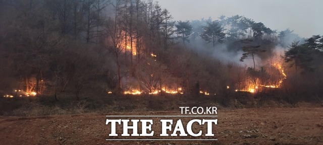충남 홍성군 서부먼에서 발생한 산불이 4일 오후 4시 주불을 진화했다. / 더팩트 DB