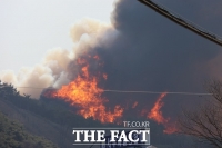  금융권, 산불 피해 지원 나선다