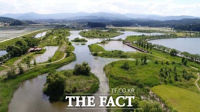 7일 강릉시는 경포호수 산책로 주변을 대상으로 반려견 동반 출입과 전동스쿠터 등 자전거도로 진입 불가 이동 수단의 출입을 집중단속할 계획이라고 밝혔다. 사진은 경포도립공원내 가시연습지 모습/강릉시