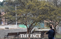  [오늘의 날씨] 경기북부에 봄비, 영동지역엔 강풍